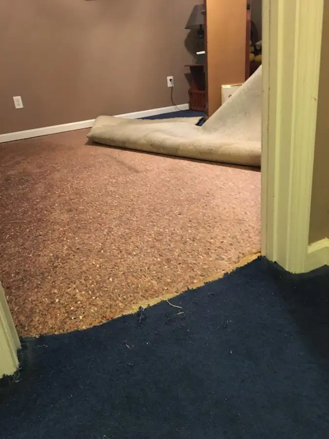 Carpet pad removal revealing water damage during Water Mitigation Services in Long Lake