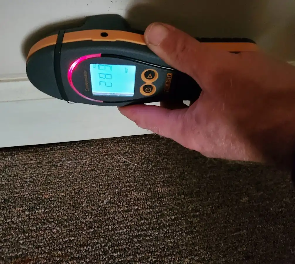 Moisture detection at baseboard during Sewage Cleanup & Sanitation in Long Lake
